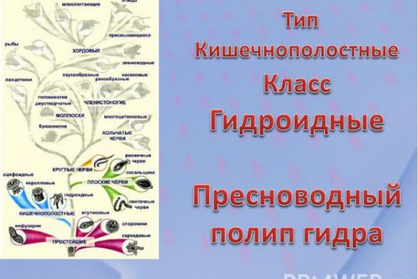 Кракен сайт зеркало рабочее на сегодня
