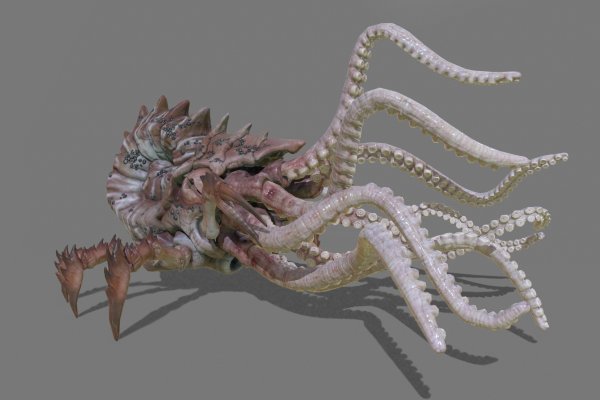 Кракен маркетплейс ссылка krakenat2krnkrnk com