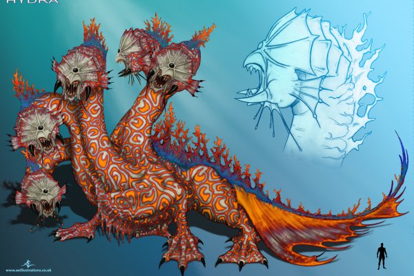 Kraken online